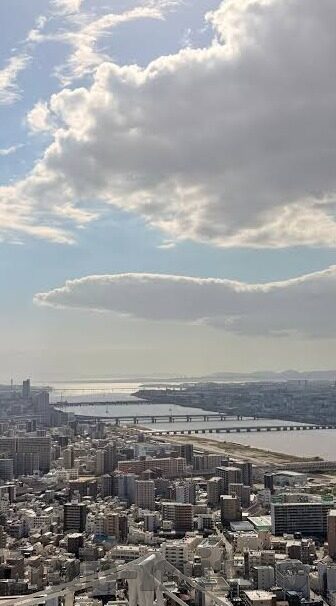 麻豆研究院app-麻豆研究院app，教育智能化路上的领航者